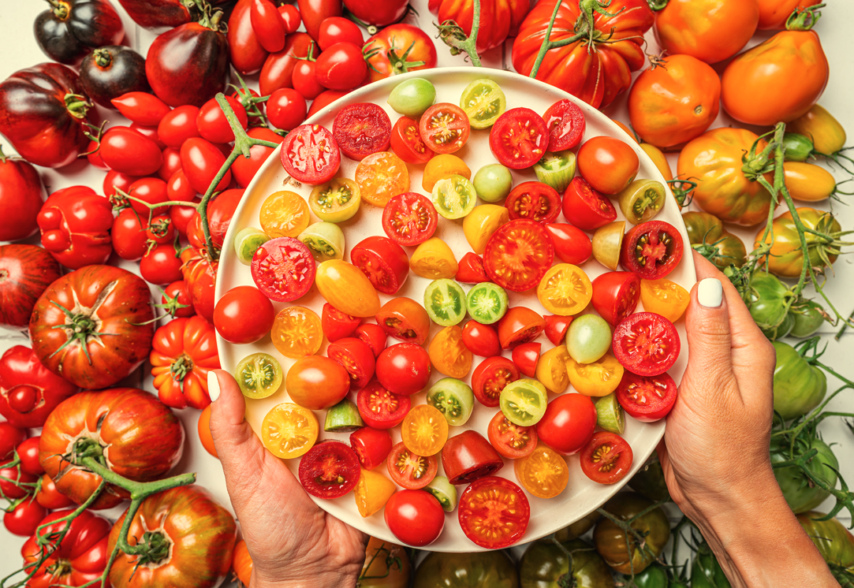 Volle Tomaten-Ernte dank passender Pflanzen Nachbarn als Schutz vor Schädlingen