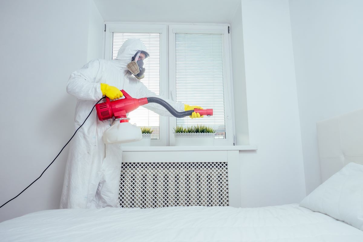 Bild: Nicht immer braucht es einen Profi - oft helfen auch Hausmittel oder Lösungen wie Schlupfwespen bei Motten im Schlafzimmer