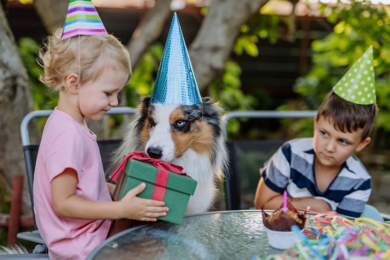 Wo kann man in St. Pölten Kindergeburtstag feiern? – 20 Ideen